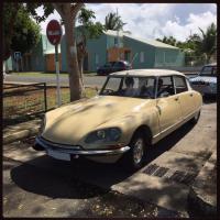 DS Beige J