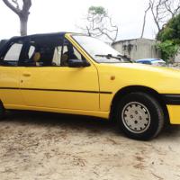 PEUGEOT 205 I D_capotable 1.4L CJ (75Ch) essence 1992